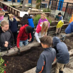 Altamont Creek Elementary School Earns Gold For Going Green News