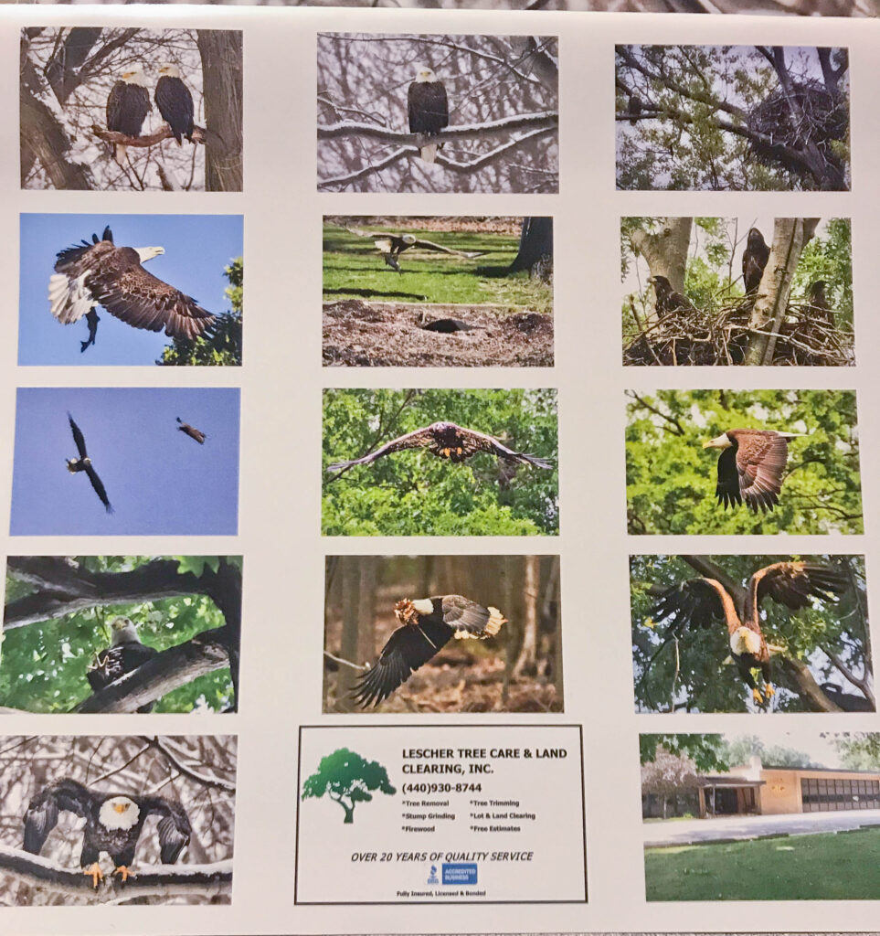 Avon Lake Redwood Eagle Calendars On Sale The Villager Newspaper Online