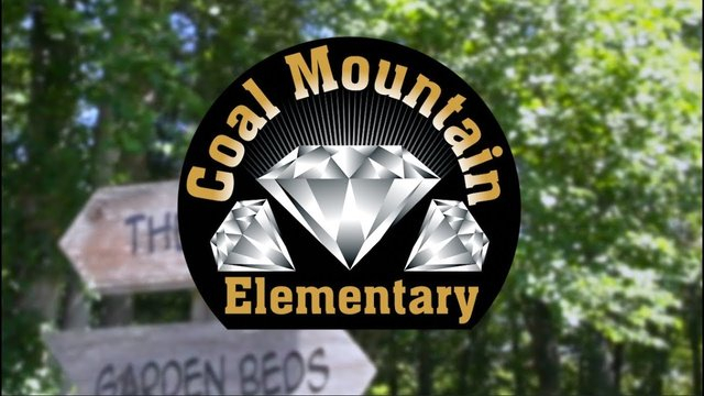 Coal Mountain Elementary Plans Carnival To Celebrate 40th Anniversary 