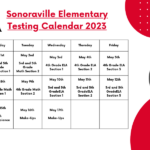 Live Feed Sonoraville Elementary School