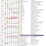 New Brunswick Public Schools Calendar School Calendar Homeschool